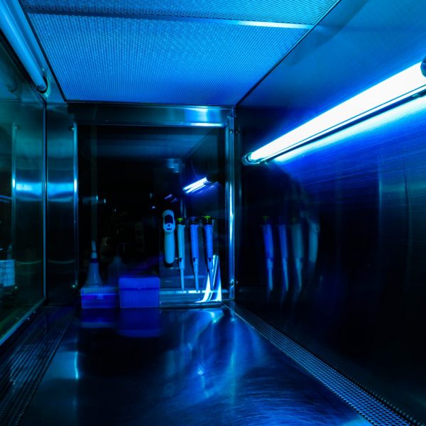 Class,Ii,Biological,Safety,Cabinet,While,Irradiate,Uv,Light,In